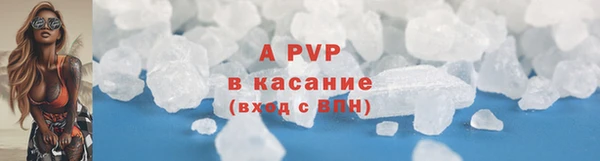 СК Козловка