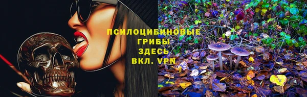 соль ск Кинешма