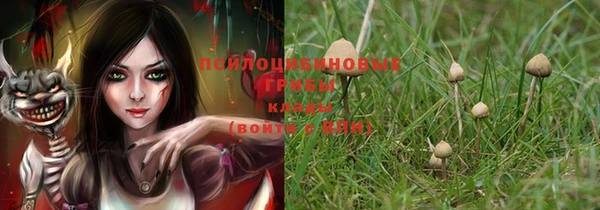 гидропоника Кодинск