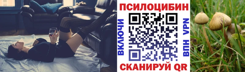 Псилоцибиновые грибы прущие грибы  Купить закладки  Котельники 